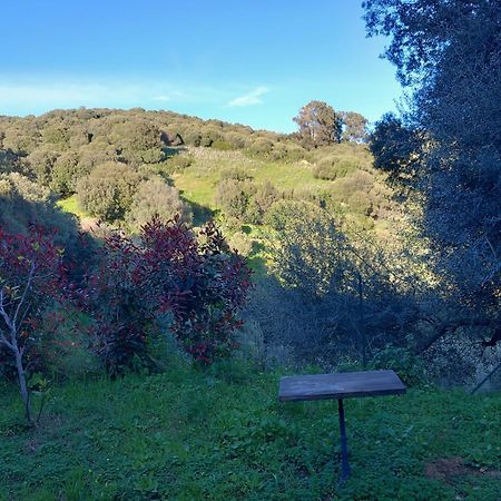Villa A Croce Alata Eksteriør billede