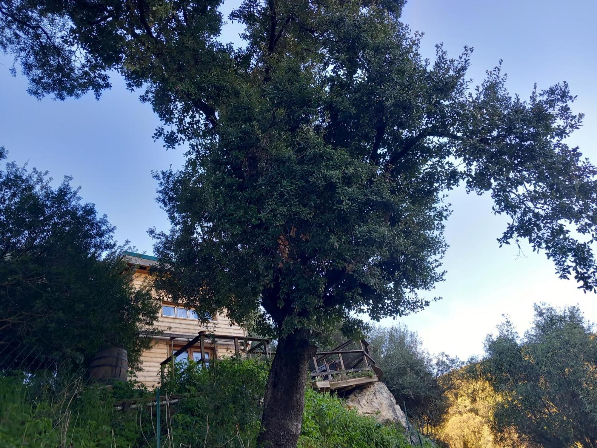 Villa A Croce Alata Eksteriør billede