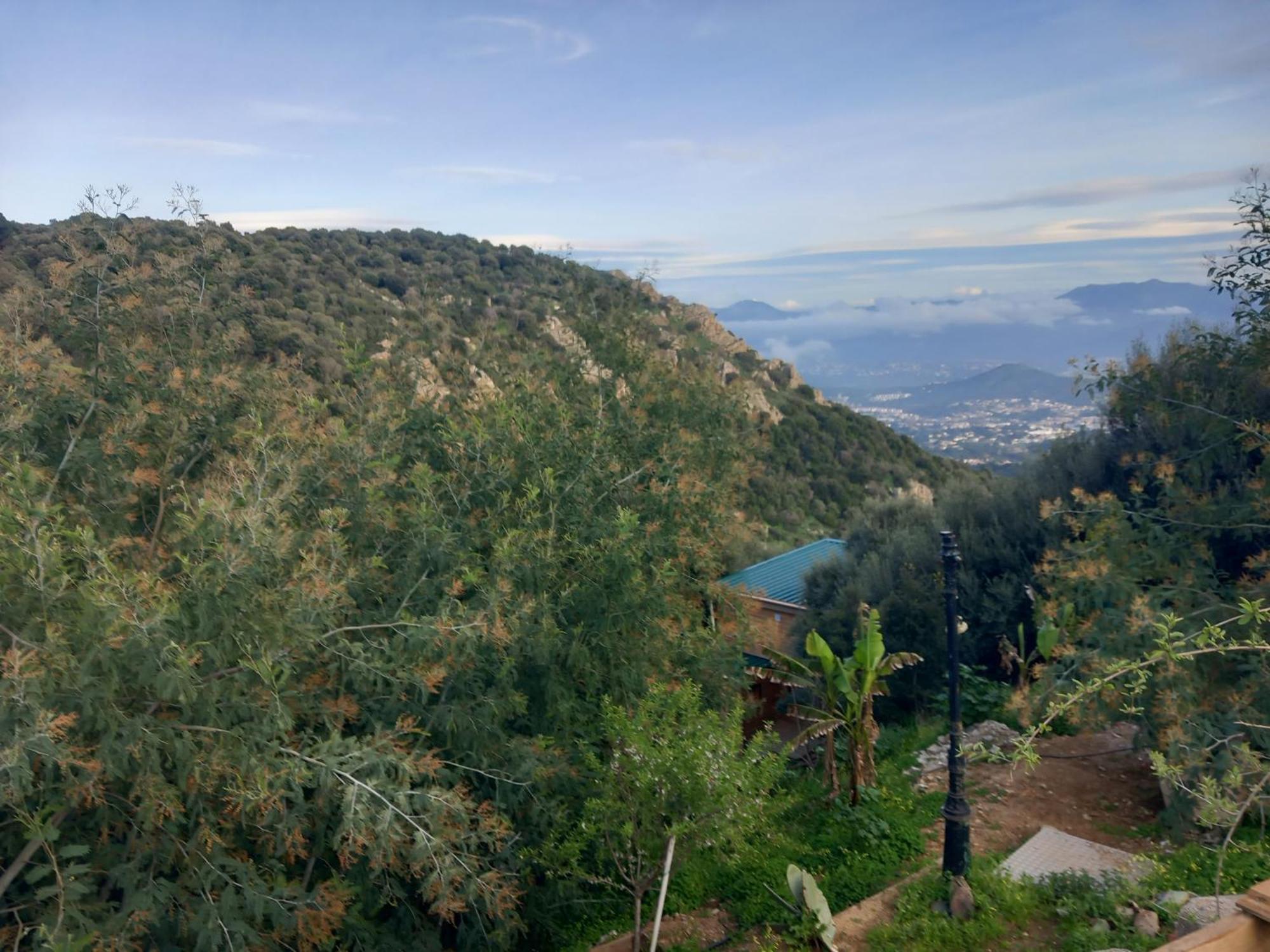 Villa A Croce Alata Eksteriør billede